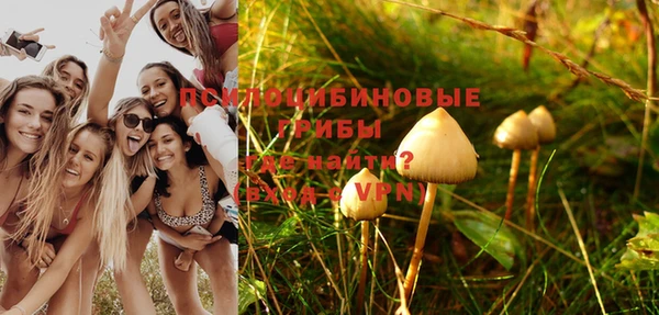 тгк Алзамай
