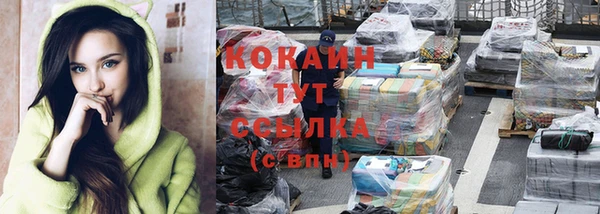 тгк Алзамай