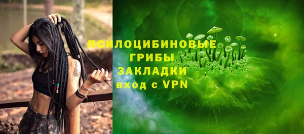 тгк Алзамай