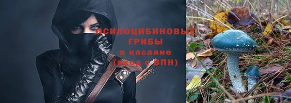 трава Абаза