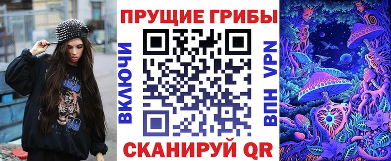 как найти закладки Новосиль ОМГ ОМГ вход Псилоцибиновые грибы Psilocybe